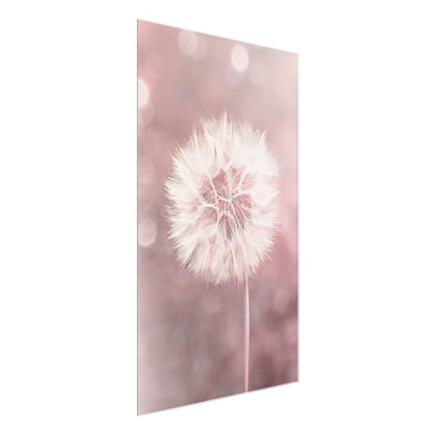 Nowoczesne obrazy dandelion bokeh różowy