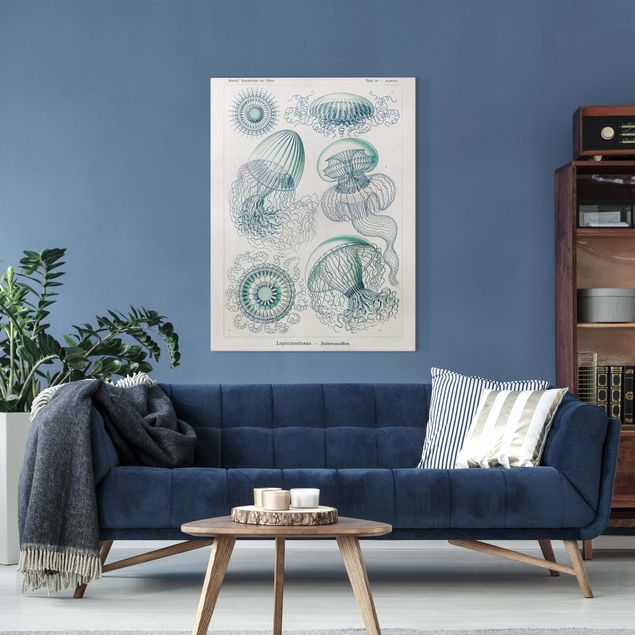 Obrazy do salonu Tablica edukacyjna w stylu vintage Meduza w kolorze niebieskim