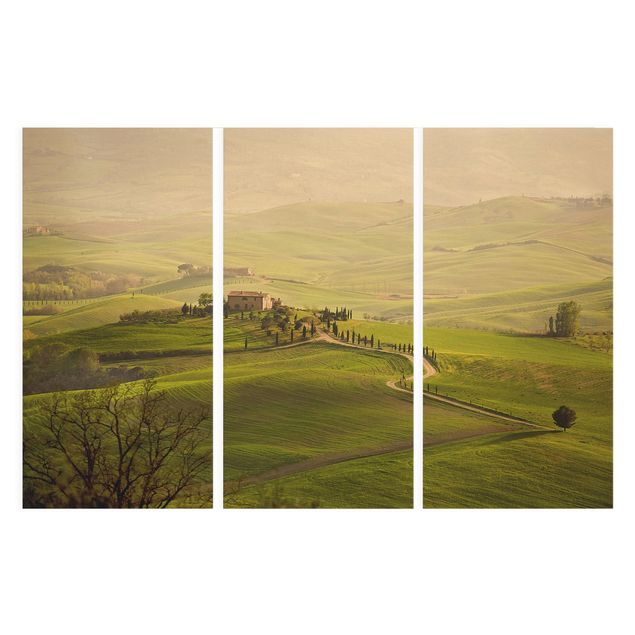 Zielony obraz Chianti Toskania
