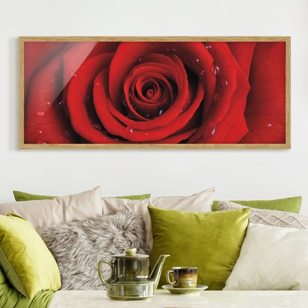Obrazy w ramie do korytarzu Róża czerwona z kroplami wody