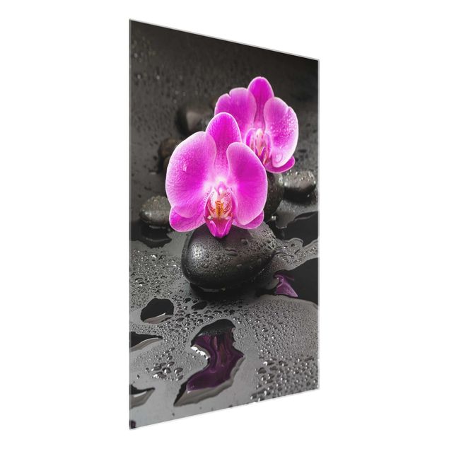 Obrazy na szkle portret Kwiaty różowej orchidei na kamieniach z kroplami