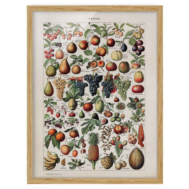 Obrazy w ramie vintage Tablica edukacyjna w stylu vintage Owoce