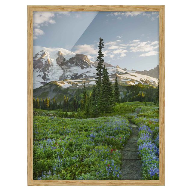 Obrazy w ramie do łazienki Ścieżka łąkowa z widokiem na góry