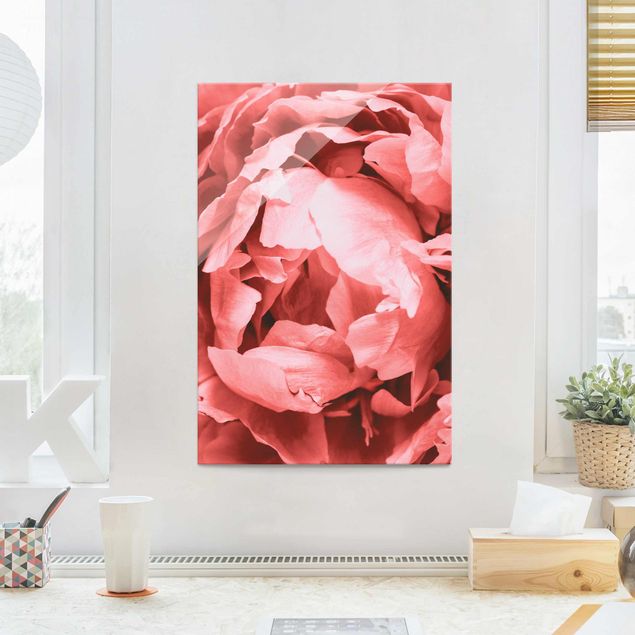 Obrazy na szkle róże Kwiat wielkopostny Koral