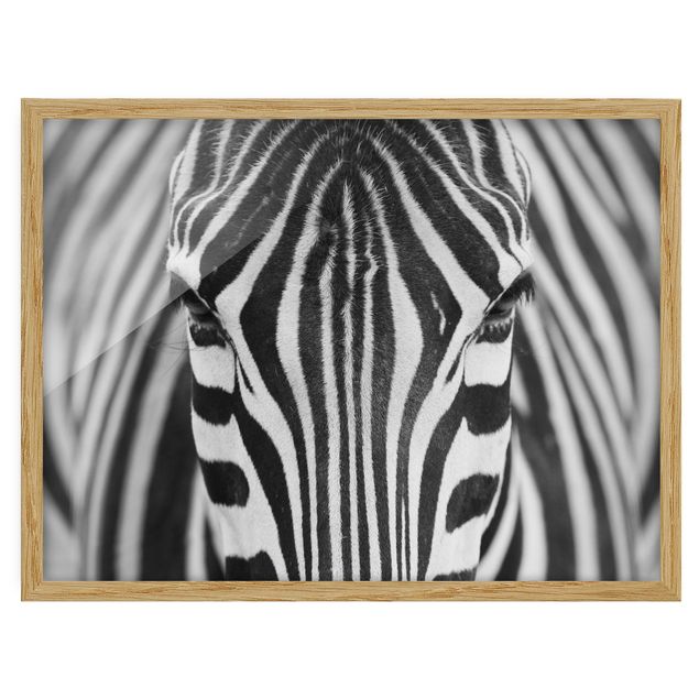 Obrazy w ramie do kuchni Zebra Look