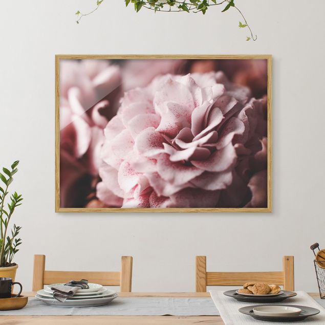 Dekoracja do kuchni Pastelowa róża Shabby Pink