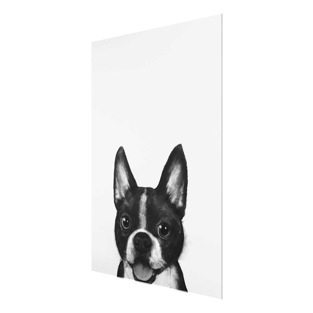 Obrazy do salonu Ilustracja pies Boston czarno-biały Painting