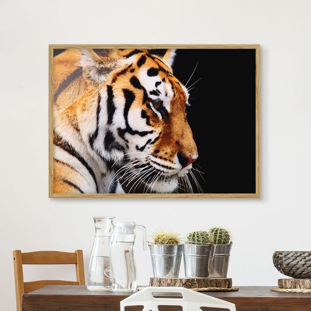 Obrazy w ramie do korytarzu Tiger Beauty