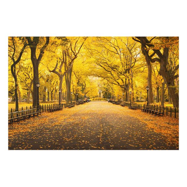 Obrazy na szkle poziomy Jesień w Central Parku