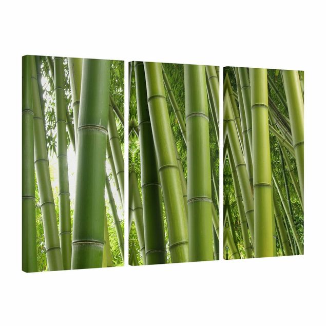Obrazy drzewa Drzewa bambusowe