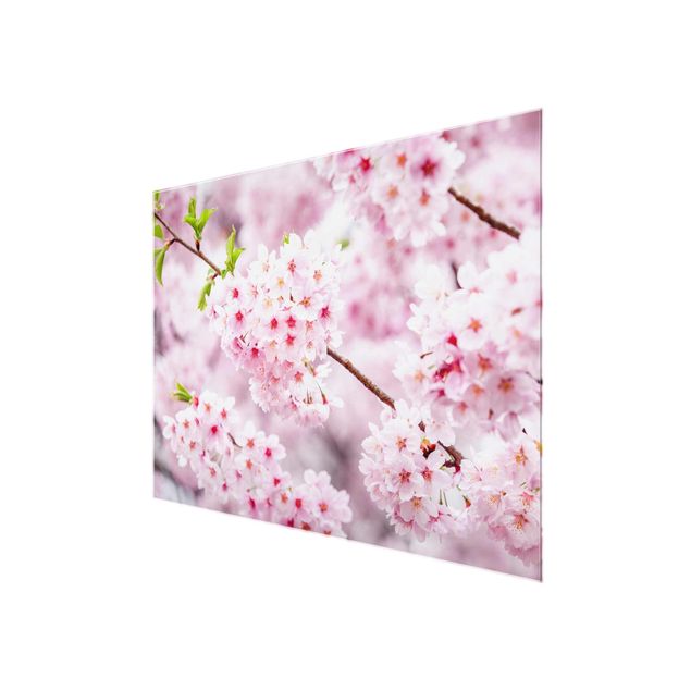 Nowoczesne obrazy Japońskie kwiaty wiśni