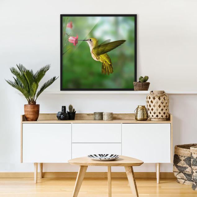 Obrazy w ramie do korytarzu Koliber i kwiat
