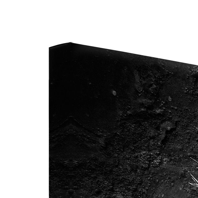 Obrazy na płótnie dmuchawce Dandelion czarno-biały