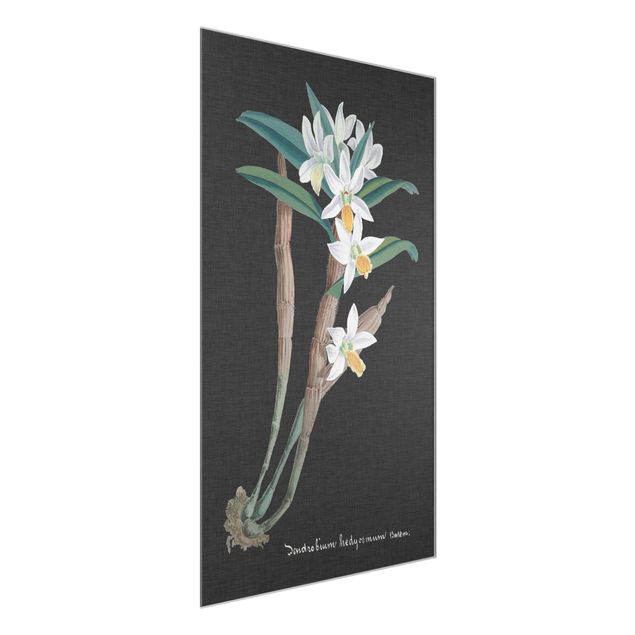 Nowoczesne obrazy do salonu Biała orchidea na lnie I