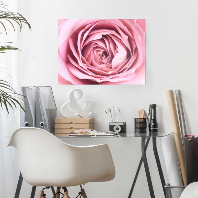Obrazy na szkle róże Różowy kwiat róży
