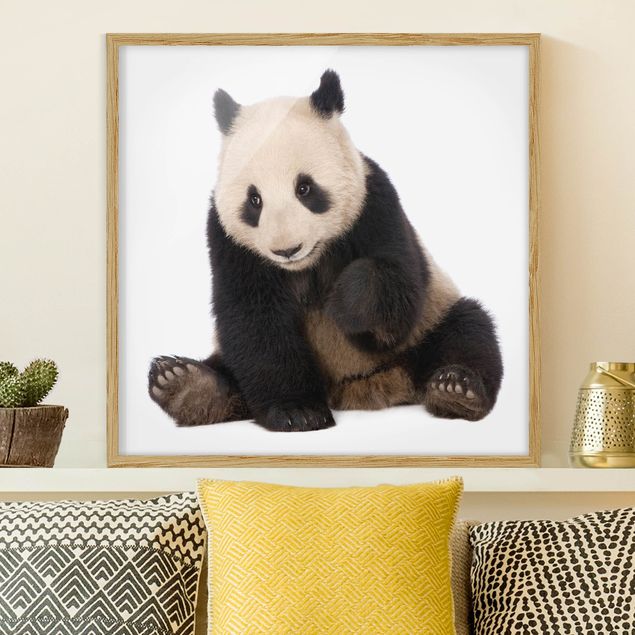 Pokój dziecięcy Panda Paws
