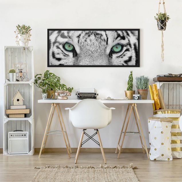 Obrazy w ramie do łazienki Biały tygrys