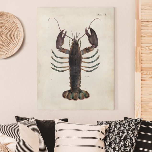 Dekoracja do kuchni Ilustracja homara w stylu vintage