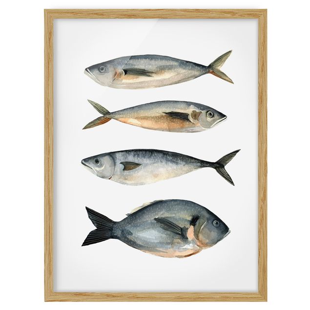 Obrazy w ramie do łazienki Cztery ryby w akwareli I