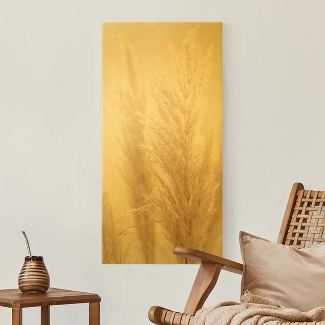 Obrazy z motywem kwiatowym Trawa pampasowa w świetle słonecznym