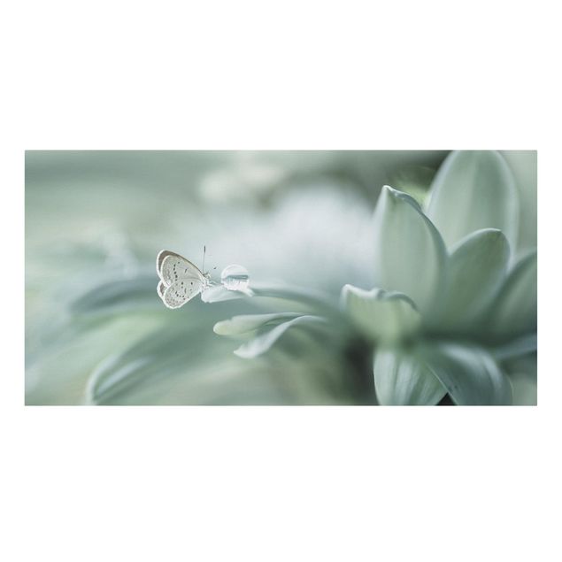 Zwierzęta obrazy Motyl i krople rosy w pastelowej zieleni