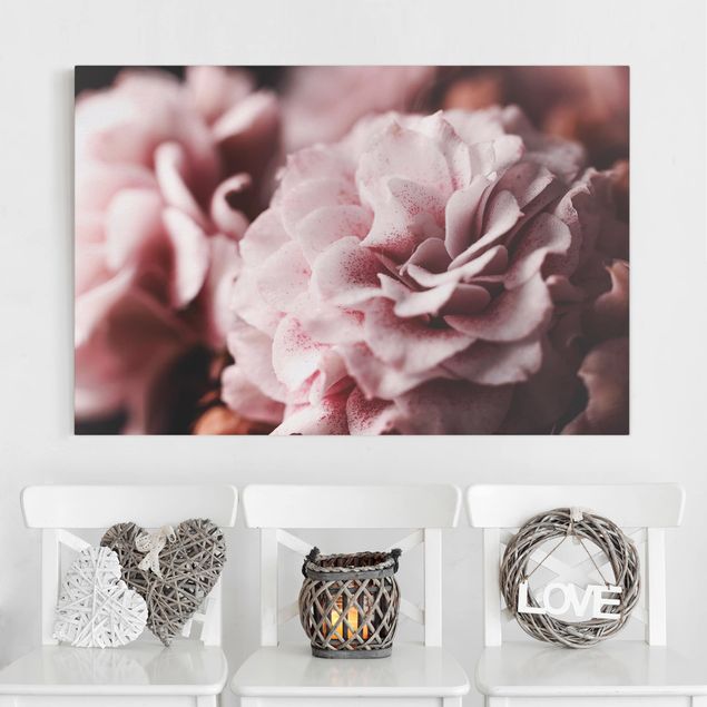 Obrazy na płótnie róże Pastelowa róża Shabby Pink