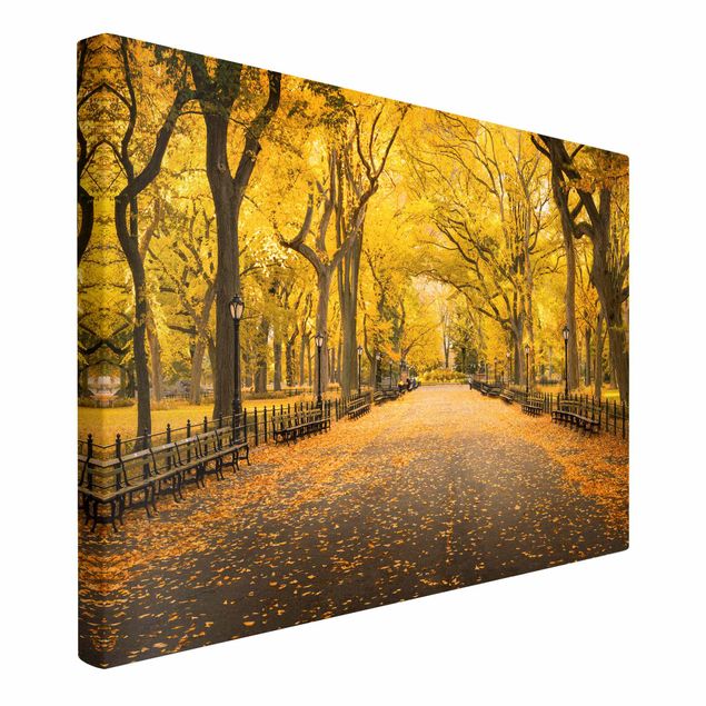 Obrazy nowoczesne Jesień w Central Parku