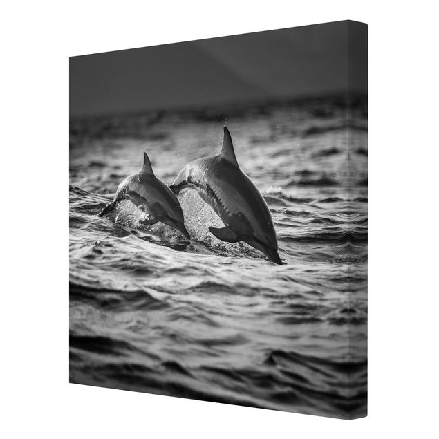 Czarno białe obrazki Dwa skaczące delfiny