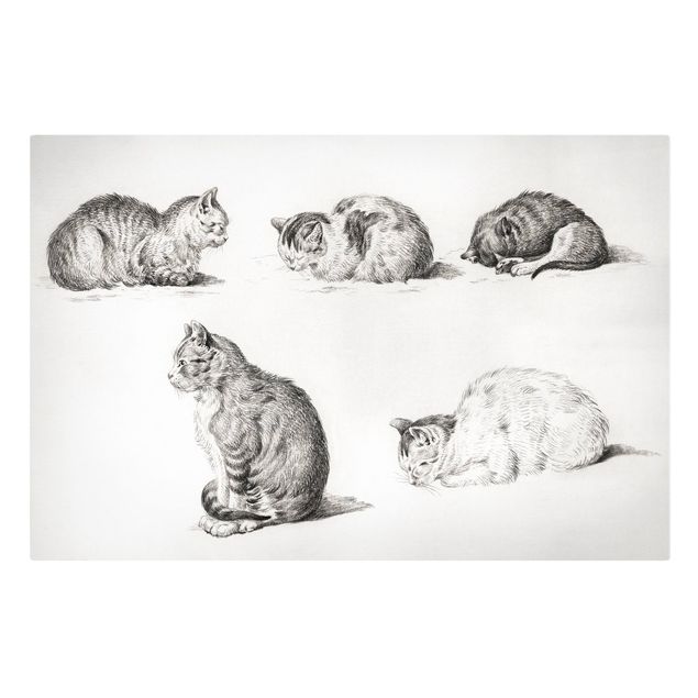 Obrazy vintage Rysunek w stylu vintage Kot I