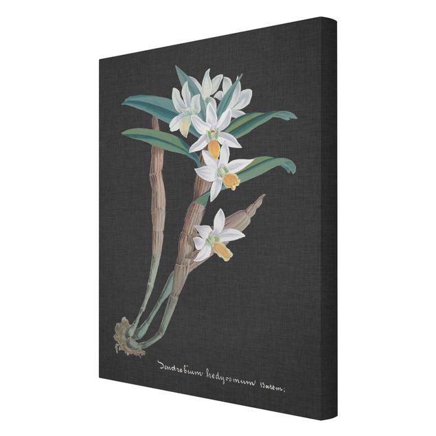 Obrazy retro Biała orchidea na lnie I