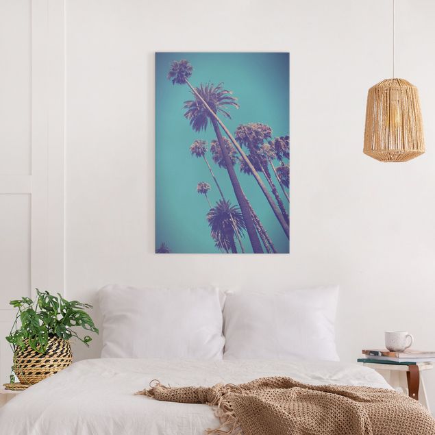 Obrazy nowoczesne Rośliny tropikalne Palmy i niebo