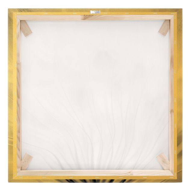 Złoty obraz na płótnie - Dreamy Dandelion czarno-biały