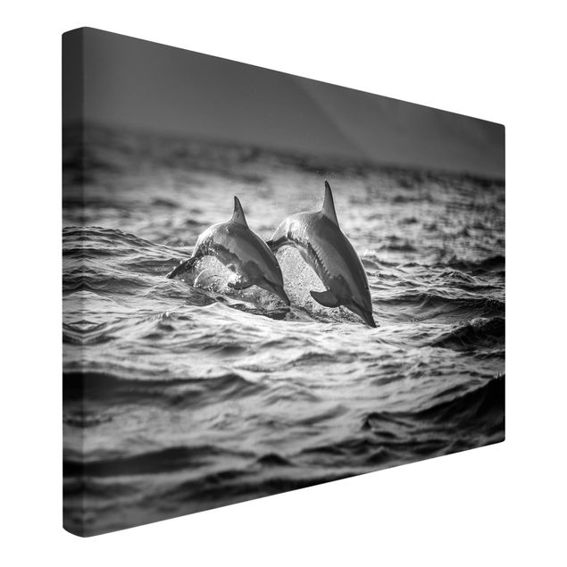 Zwierzęta obrazy Dwa skaczące delfiny