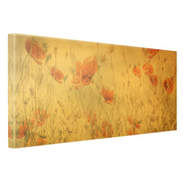 Obrazy z motywem kwiatowym Maki i trawy na polu