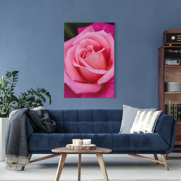 Obrazy do salonu Kwiat różowej róży na tle zieleni