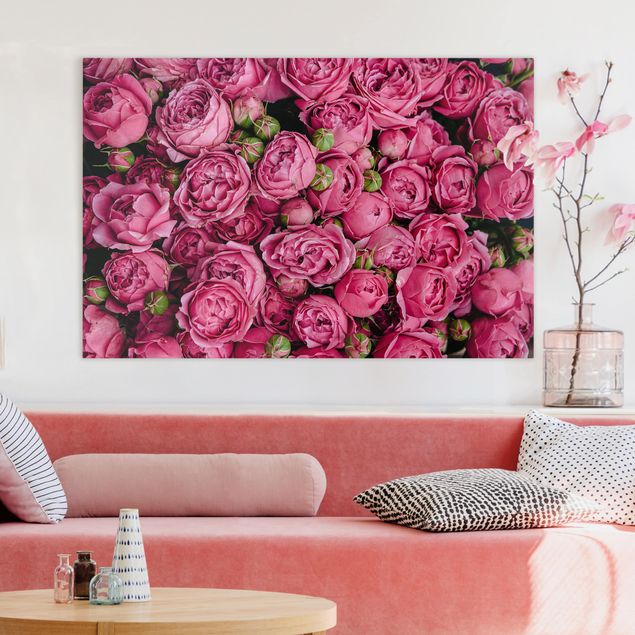 Obrazy na płótnie róże Różowe piwonie