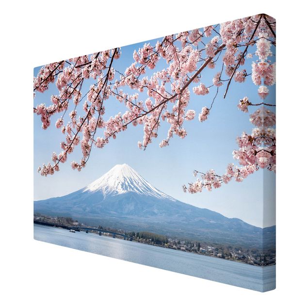 Góry obraz Kwiaty wiśni z górą Fuji