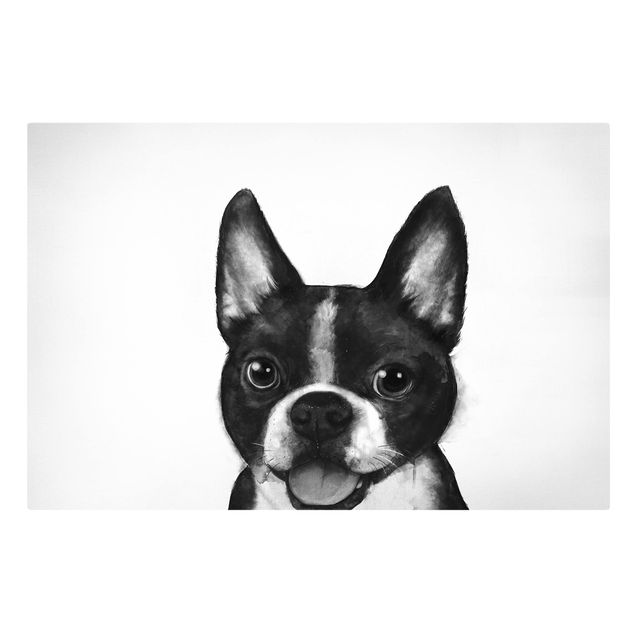 Obrazy ze zwierzętami Ilustracja pies Boston czarno-biały Painting