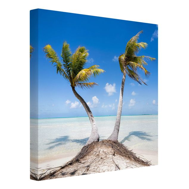 Obrazy morze Wakacje pod palmami