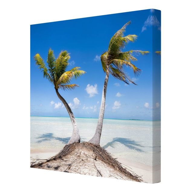 Obrazy plaża Wakacje pod palmami