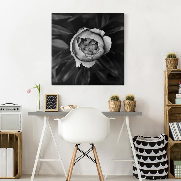 Obrazy do salonu nowoczesne Kwiat piwonii na tle liści czarno-biały