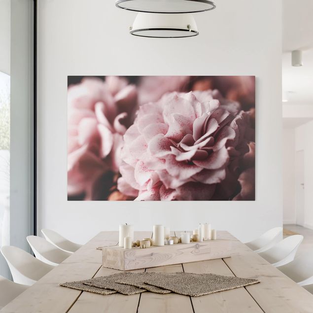 Nowoczesne obrazy do salonu Pastelowa róża Shabby Pink