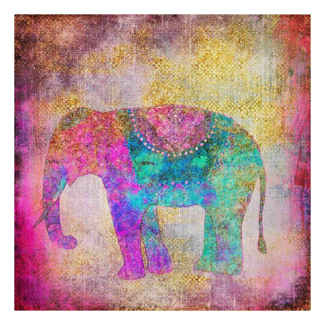 Obrazy duchowość Kolorowy kolaż - Słoń indyjski