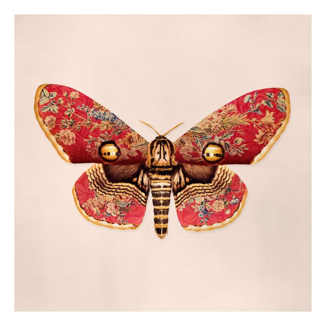 Obrazy retro Vintage Moth
