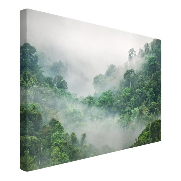 Drzewo obraz Dżungla we mgle