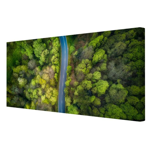 Zielony obraz Zdjęcie lotnicze - Droga asfaltowa w lesie