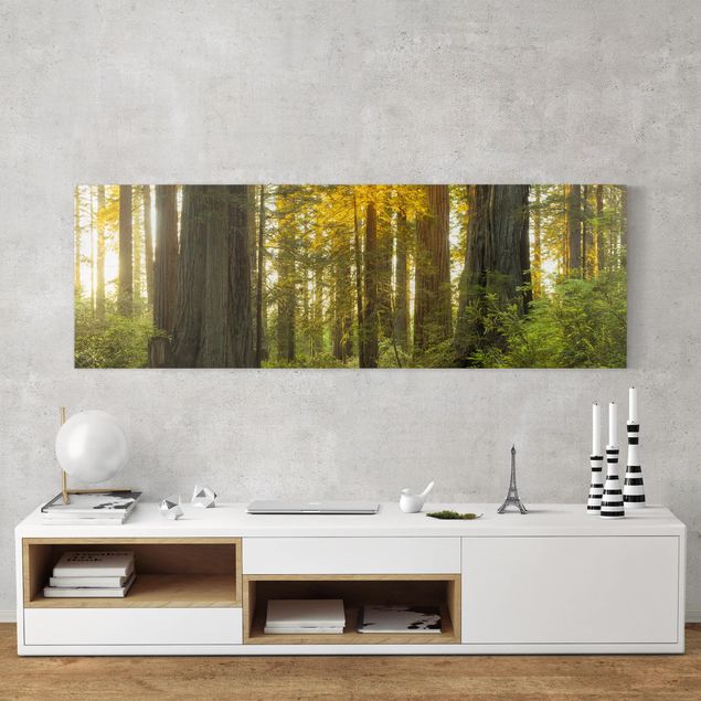 Obrazy nowoczesne Park Narodowy Redwood