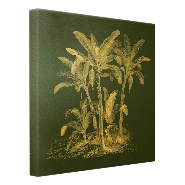 Obrazy motywy kwiatowe Ilustracja przedstawiająca palmy bananowe na tle zieleni