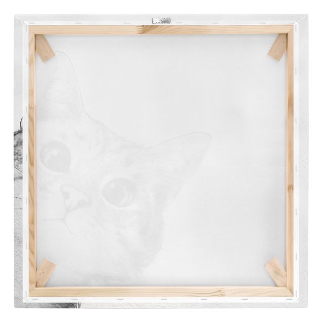 Obrazy na płótnie kot Ilustracja kota Rysunek czarno-biały