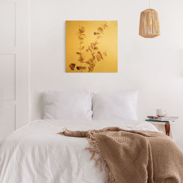 Obrazy nowoczesny Gałązki eukaliptusa złocistego